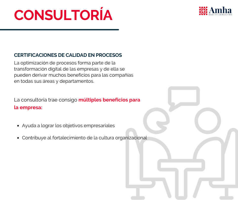Consultoría 2