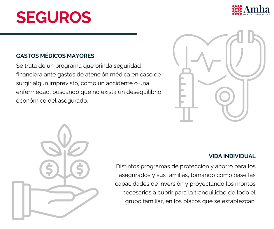 Seguros 2
