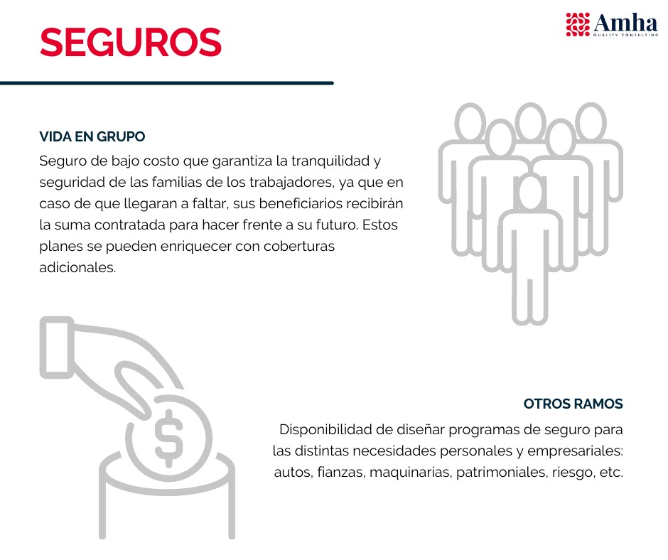Seguros 3